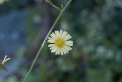 DSC05327