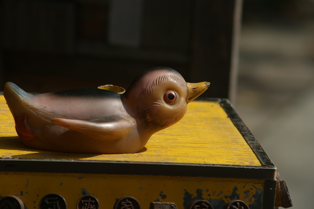 鳥？
