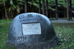 芭蕉園