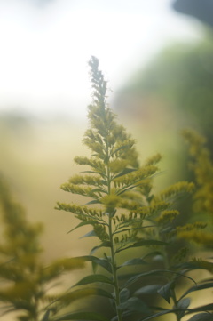 DSC05320