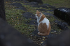 今日も終わり、か。