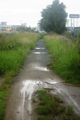 道