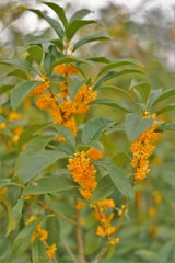 DSC05543
