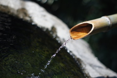 水泡に帰す