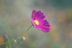 DSC05325