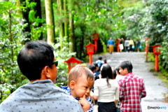 神社散策