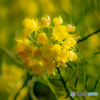 2019春①