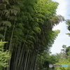 吉田さん家①