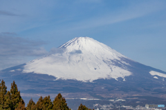 今日の富士