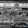 湯本の旅館