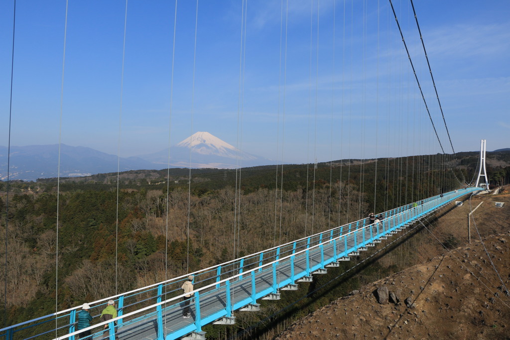 三島 スカイウオーク