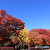 河口湖1