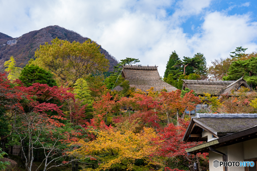 紅葉1