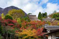 紅葉1