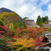 紅葉1