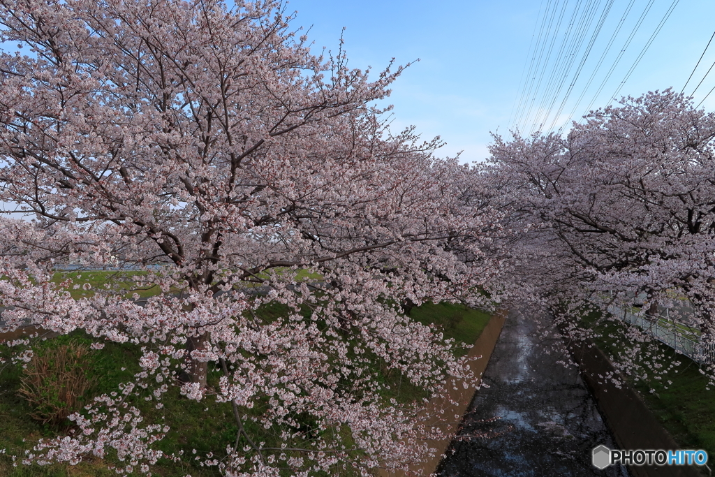 寄り道②