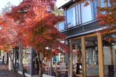 旧軽井沢にて