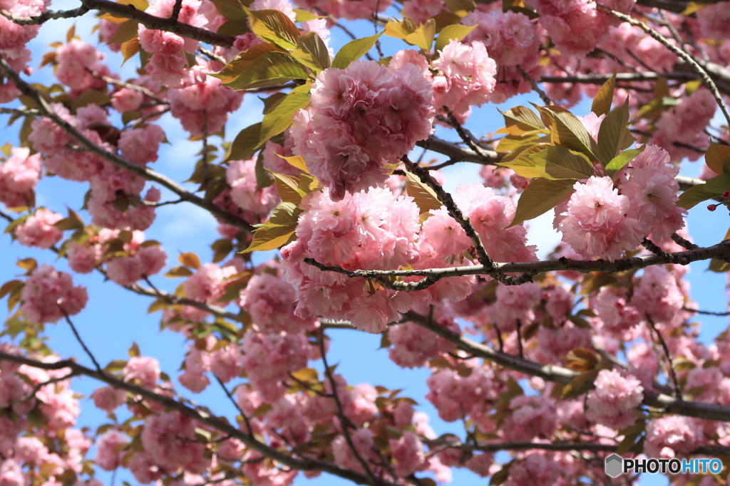 散歩中の公園で・・・②