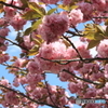 散歩中の公園で・・・②