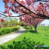 散歩中の公園で・・・①