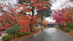軽井沢