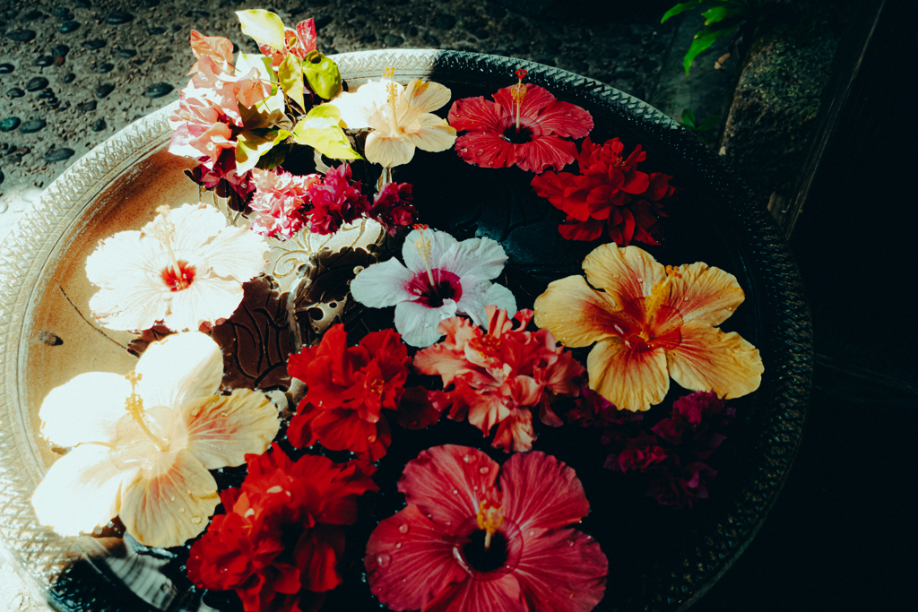 花と鉢