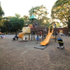 夕暮れの公園