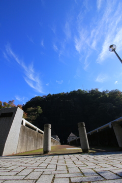 晴れ上がった秋の空！