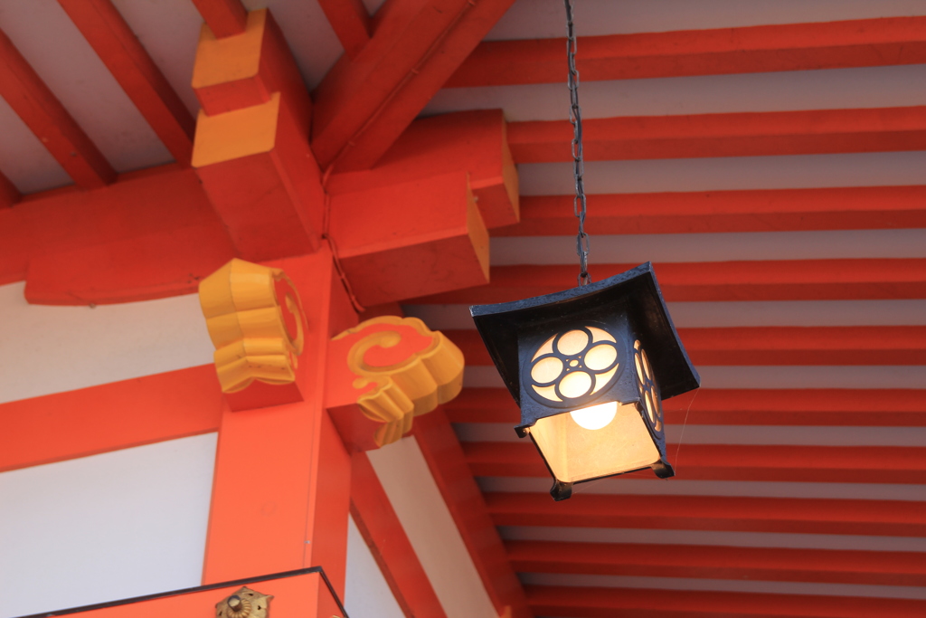紅白