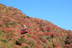 ゴンドラと紅葉Ⅱ(^^)/