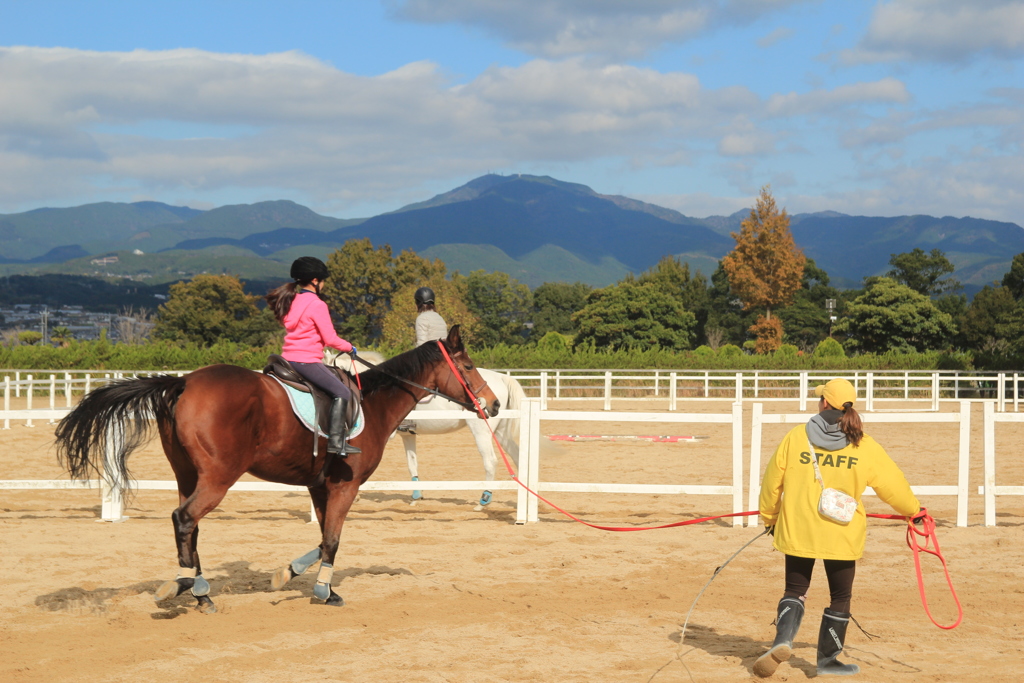 乗馬楽しそうですね(^^)/