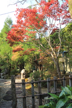 迎仙閣と紅葉