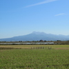 雲仙岳とコスモス畑(^^)/