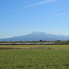 雲仙岳とコスモス畑(^^)/