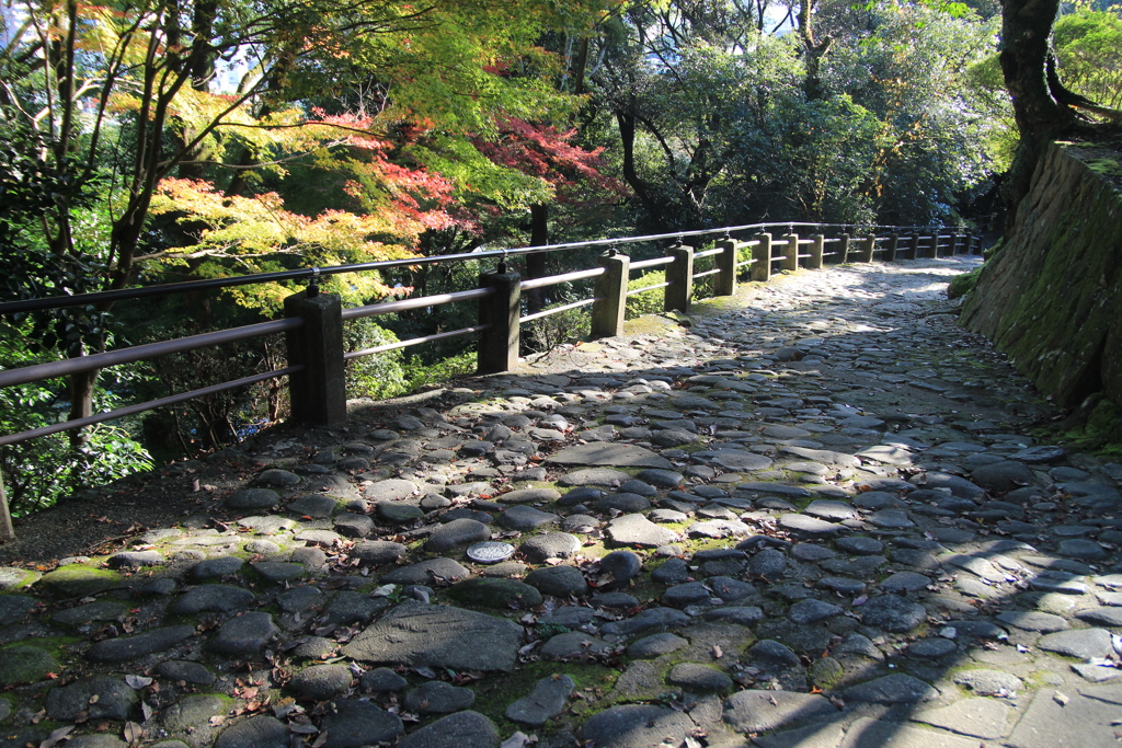 諫早公園の石畳