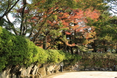 迎仙閣はこちらからどうぞ