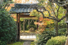 迎仙閣にようこそ
