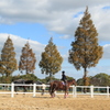 秋の乗馬(^^)/