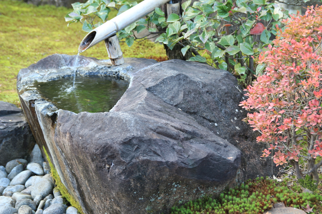 日本庭園