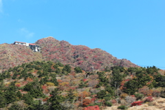 紅葉