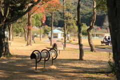 癒しの空間