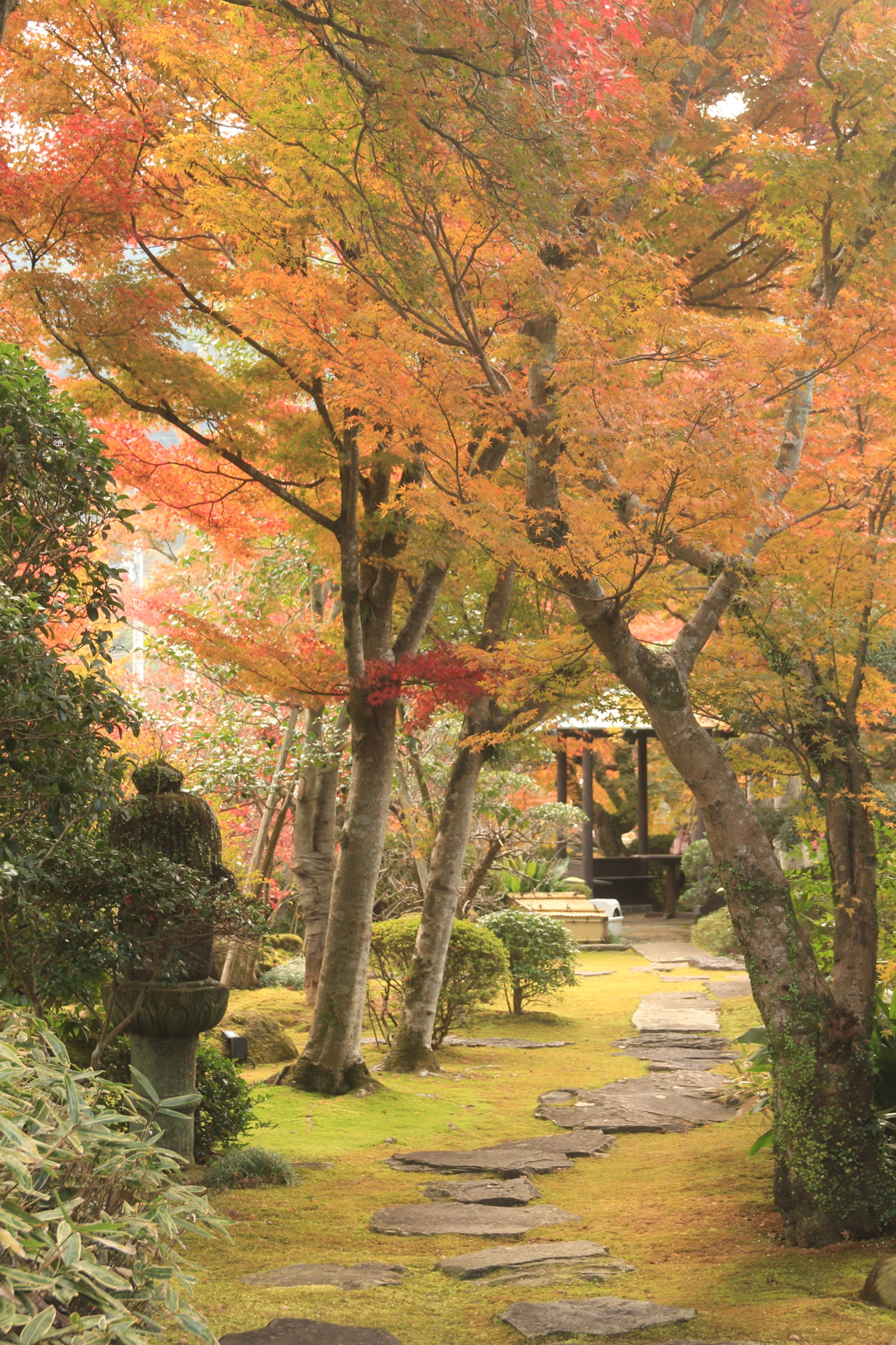 紅葉の小道(^^)/