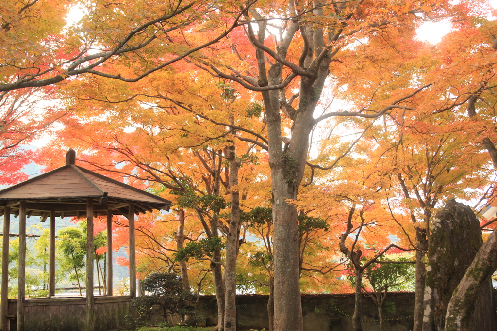 紅葉に囲まれて(^^)/