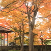 紅葉に囲まれて(^^)/
