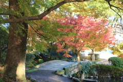 諫早公園の帰り道