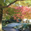 諫早公園の帰り道