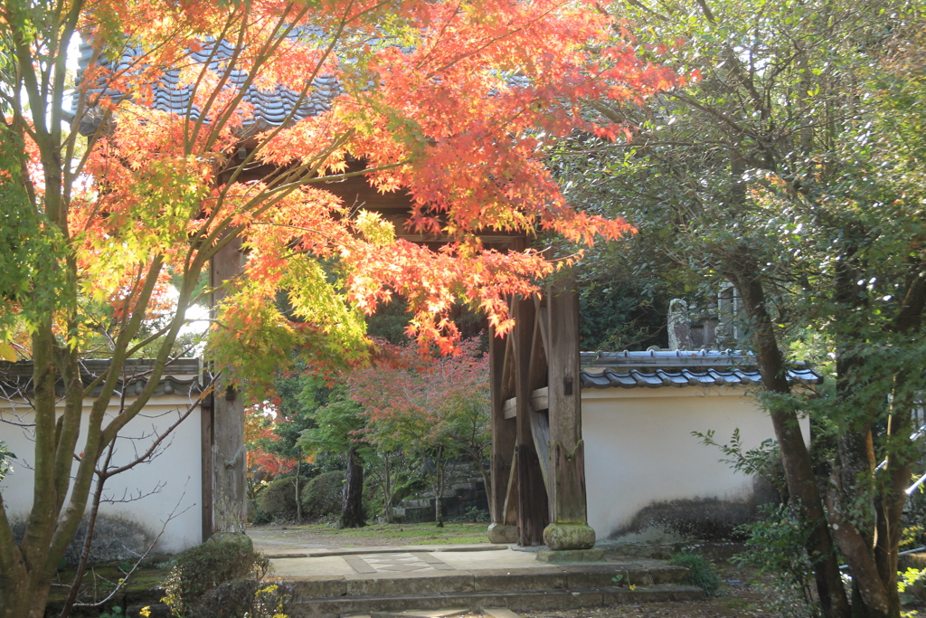 お寺の紅葉(^^)/