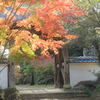 お寺の紅葉(^^)/