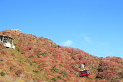 雲仙妙見岳の山頂付近の紅葉