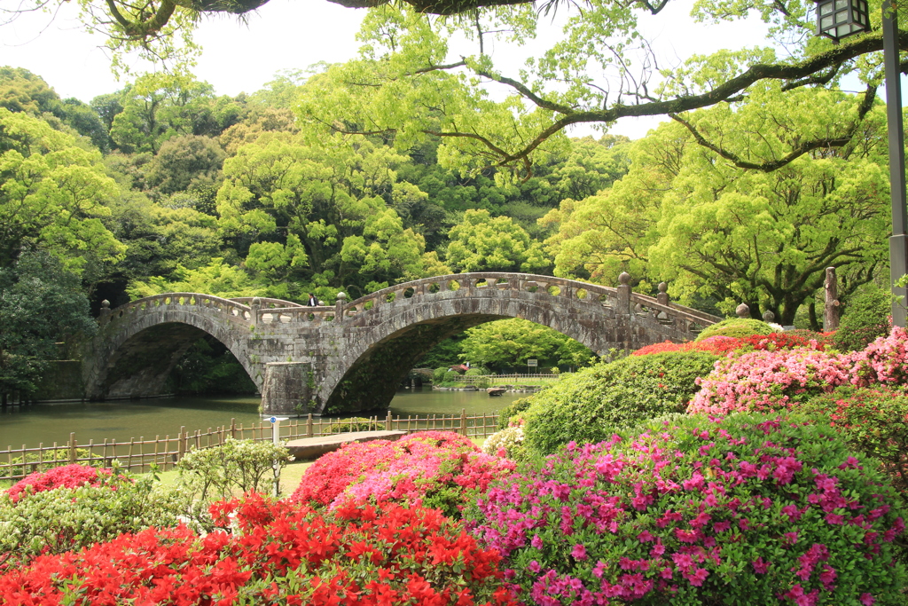 眼鏡橋＆ツツジ❀(^^)/